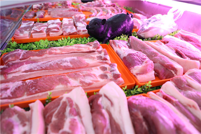 川藏黑猪 川藏黑猪