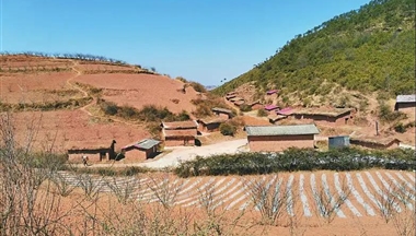 【四川日报】媒体聚焦︱打“井”养猪新探索,喜德县整合