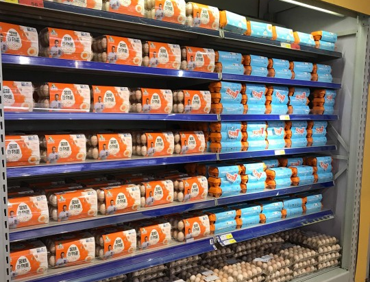 门店陈列 (14).jpg