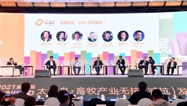 2021如何度过？铁骑力士集团运营总裁邓先锋在&ldquo;太阳鸟&rdquo;