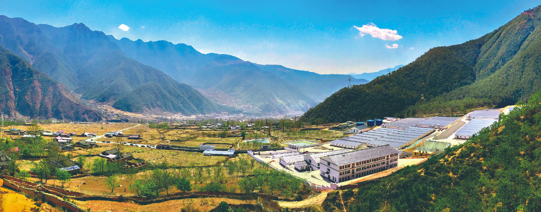 铁骑力士集团与凉山州喜德县人民政府共同建成30万头生猪现代循环养殖扩繁场,直接带动当地贫困户3359户,实现户均年增收3000-5000元。.jpg 铁骑力士集团与凉山州喜德县人民政府共同建成30万头生猪现代循环养殖扩繁场,直接带动当地贫困户3359户,实现户均年增收3000-5000元。.jpg